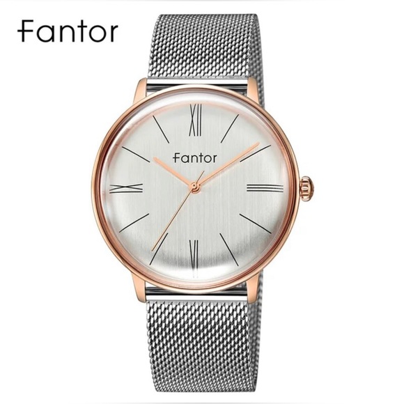 Designer - Fantor 10021 Mesh Chain Men’s Watch, Water Resistant - Picture 6 of 12